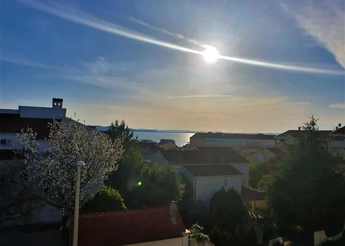 - Pine Diklo Zadar