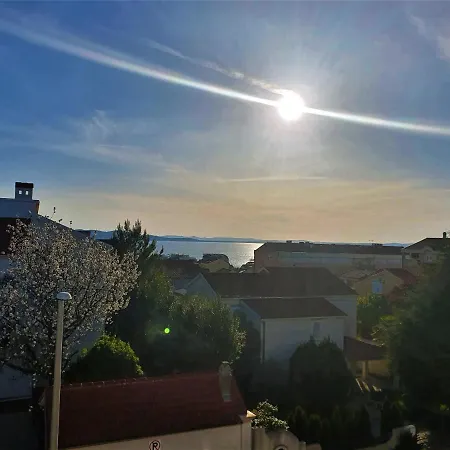 - Pine Diklo Zadar