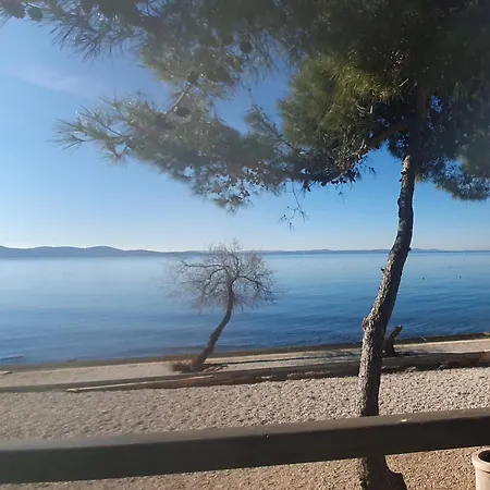 - Pine Diklo Apartment Zadar
