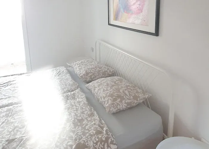 - Pine Diklo Ζαντάρ